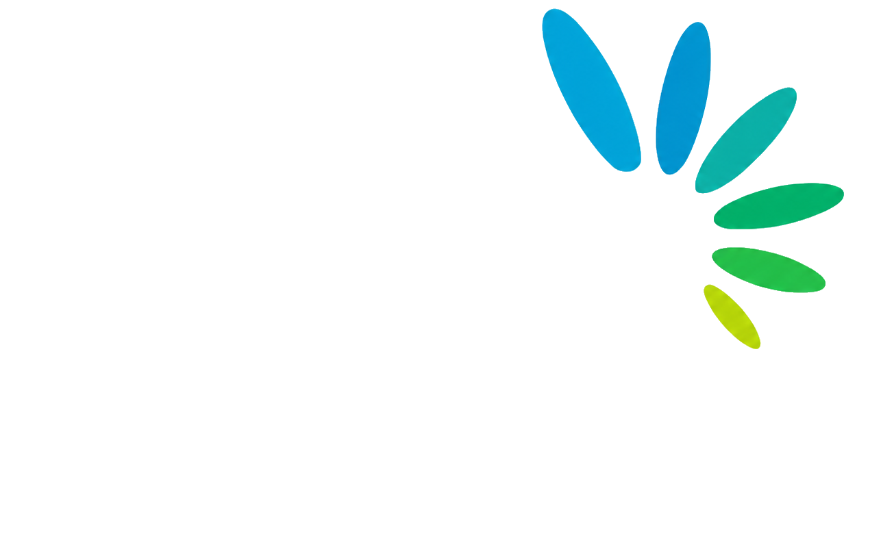 Meer Solar logo